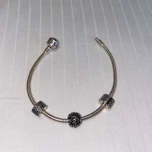 Pandora Leaves Charm